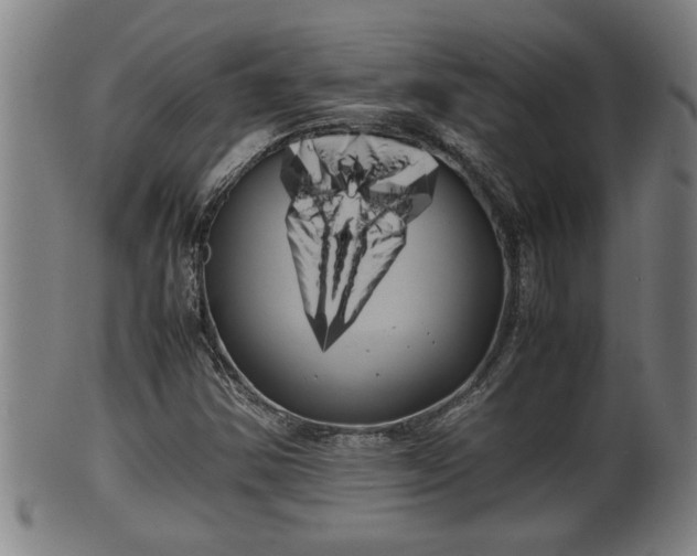X0000100221354200806061335