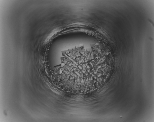 X0000100221355200806061335