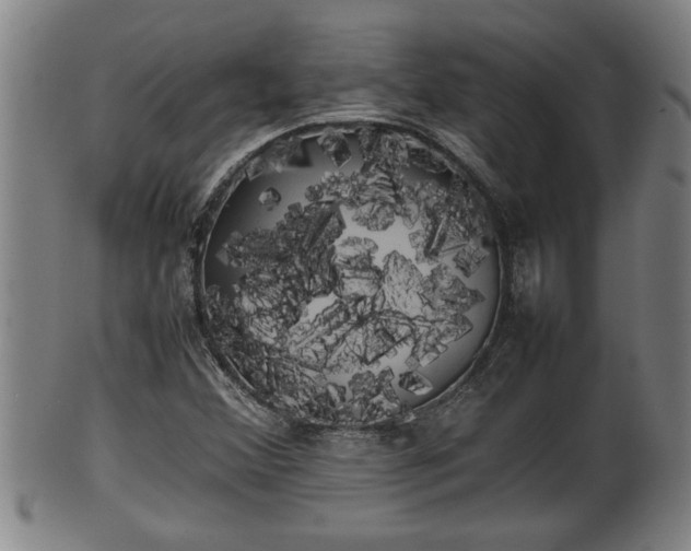 X0000100221356200806061335