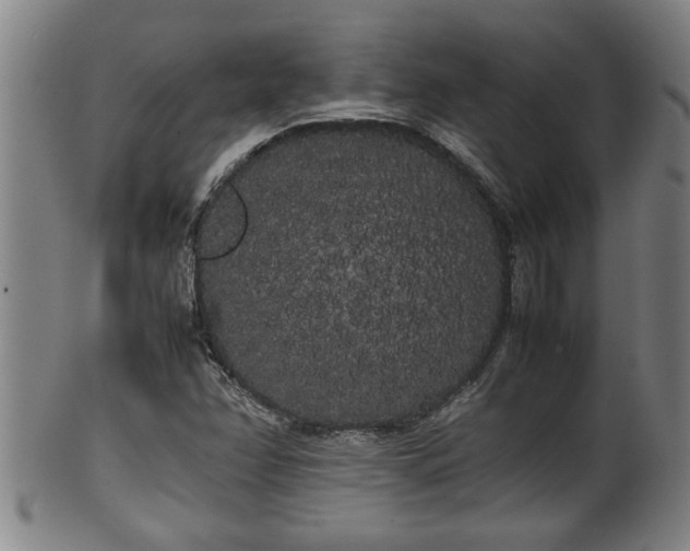 X0000100221358200806061335