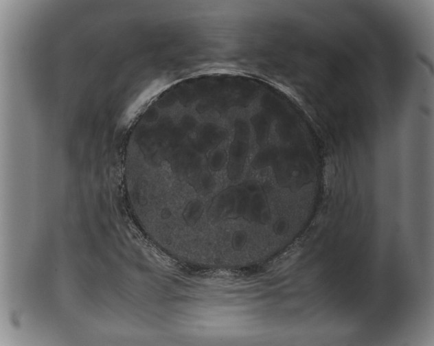 X0000100221359200806061335