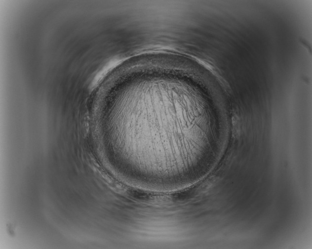 X0000100221363200806061334