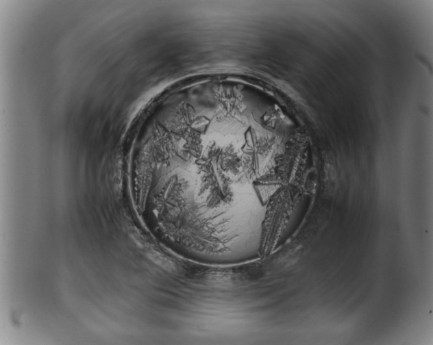 X0000100221364200806061334