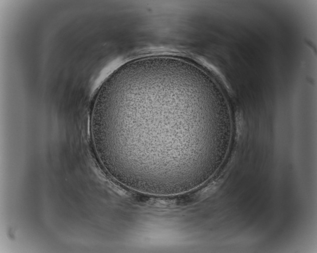 X0000100221365200806061334