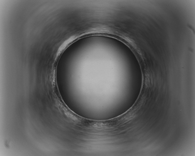 X0000100221366200806061334