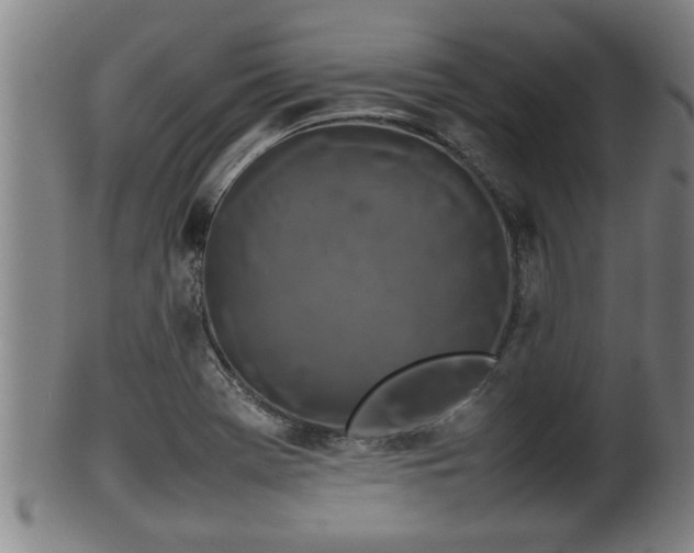 X0000100221369200806061334