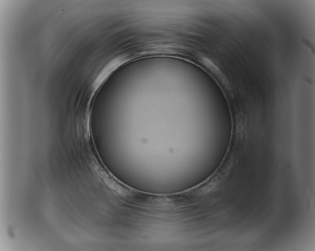 X0000100221370200806061334