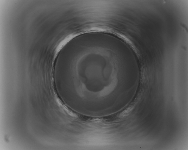 X0000100221373200806061334