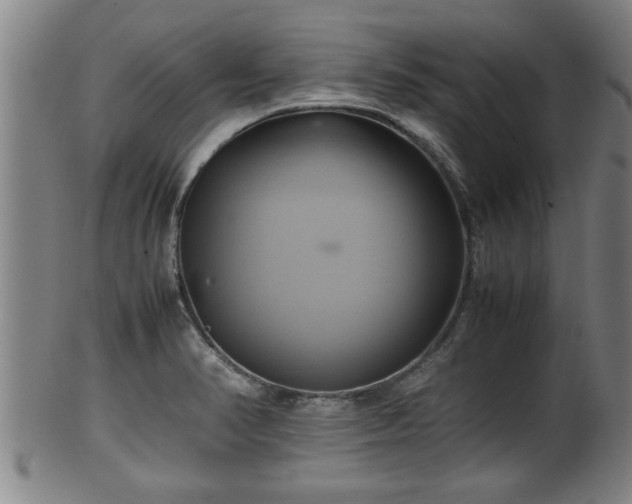 X0000100221374200806061334