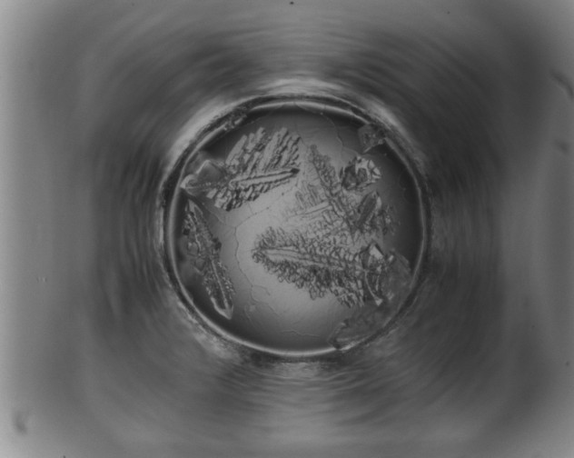 X0000100221376200806061334
