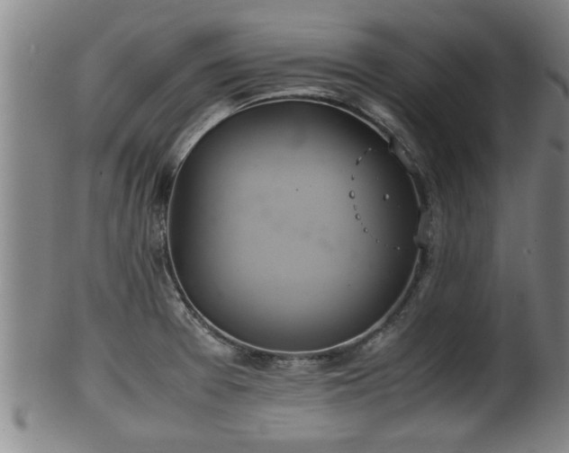 X0000100221377200806061334