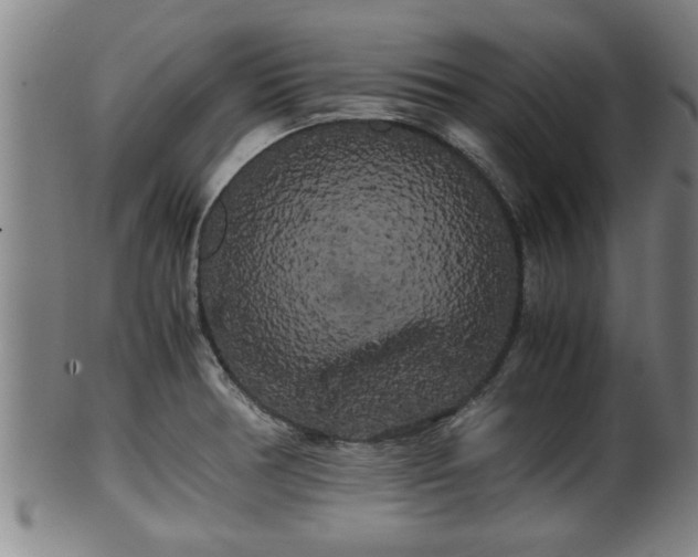 X0000100221378200806061334