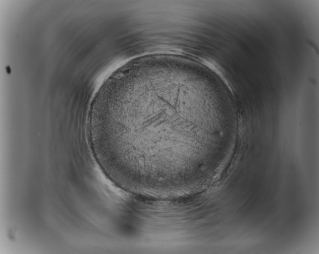 X0000100221379200806061334