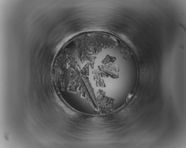 X0000100221380200806061334