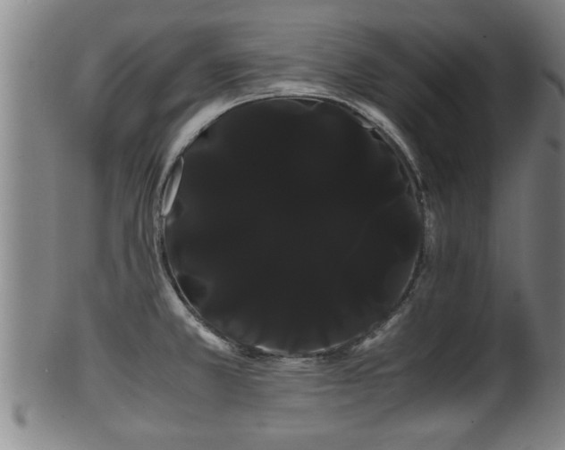 X0000100221381200806061334