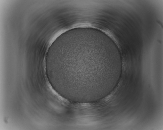 X0000100221382200806061334