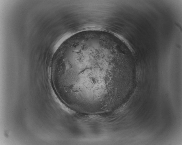 X0000100221383200806061334