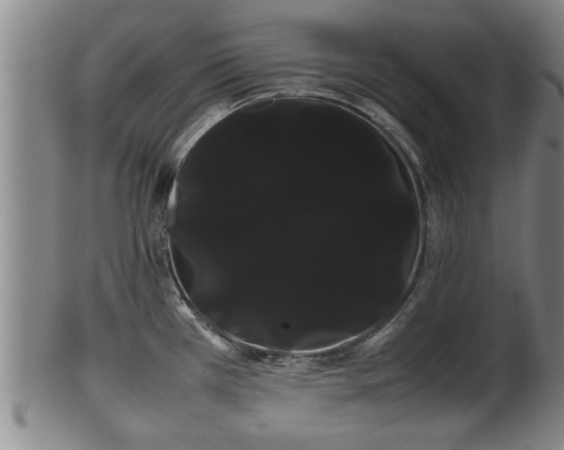 X0000100221385200806061334