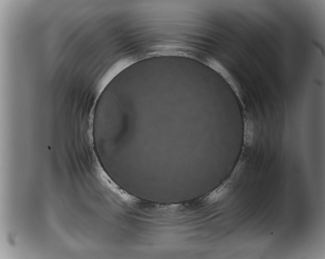 X0000100221386200806061334