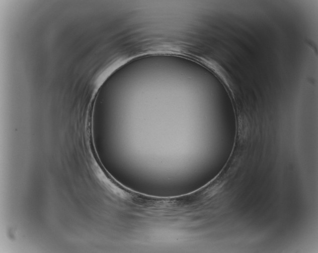 X0000100221387200806061334