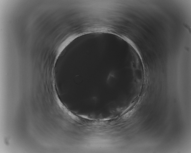 X0000100221389200806061334