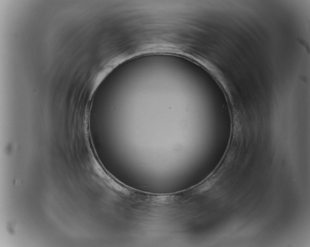 X0000100221390200806061334