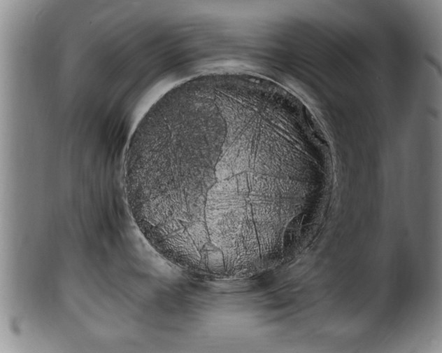 X0000100221392200806061334