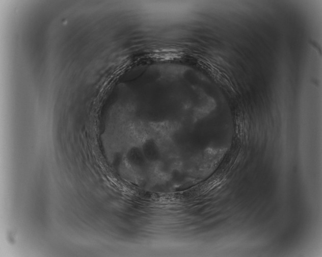 X0000100221393200806061333