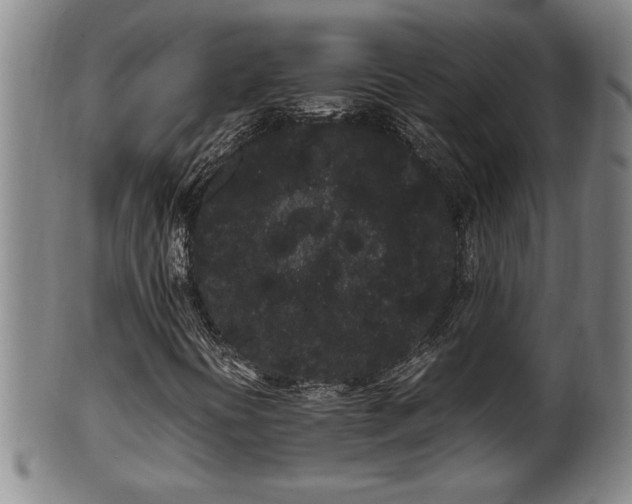 X0000100221394200806061333