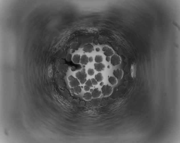 X0000100221395200806061333