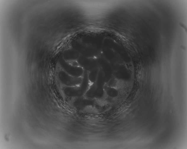 X0000100221397200806061333