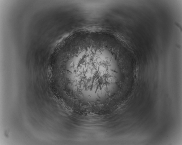 X0000100221398200806061333