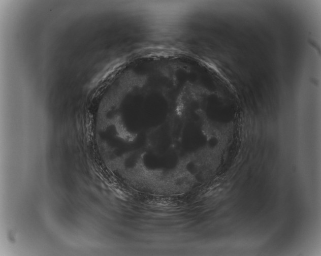 X0000100221399200806061333