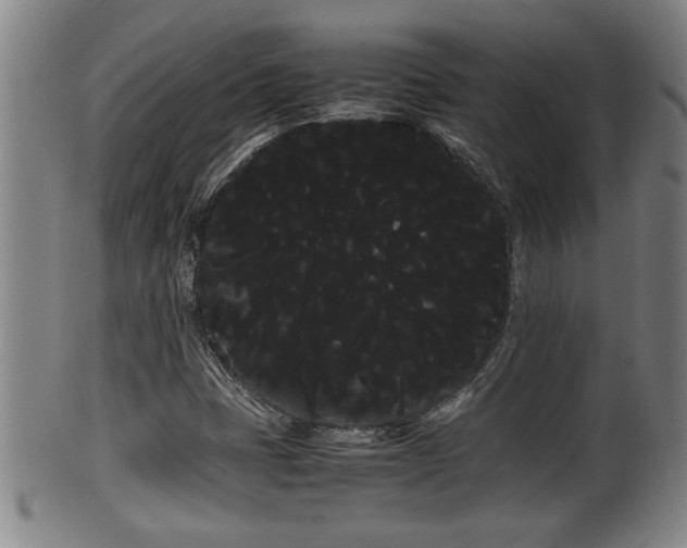 X0000100221401200806061333