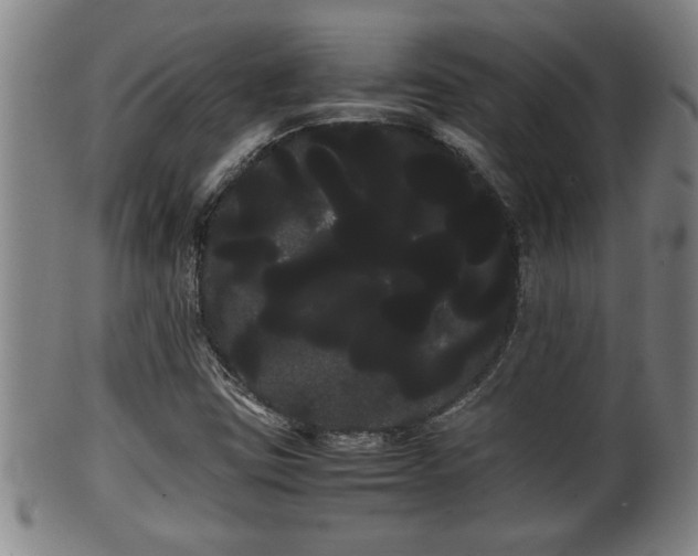 X0000100221403200806061333