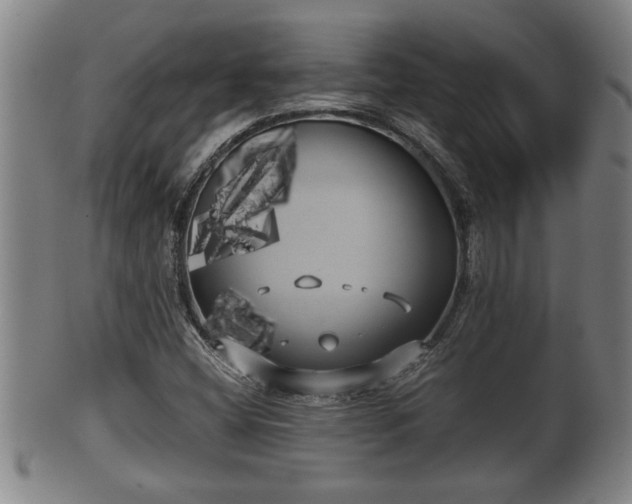 X0000100221404200806061333