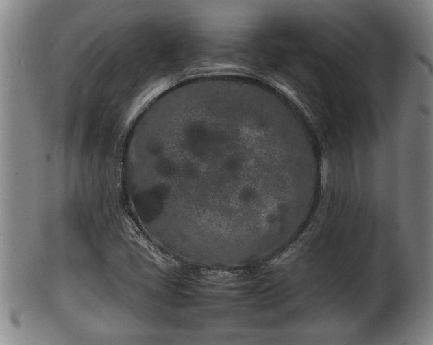 X0000100221405200806061333