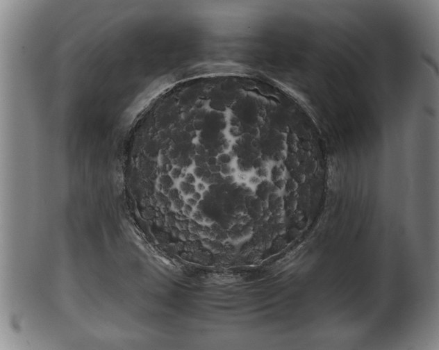 X0000100221407200806061333