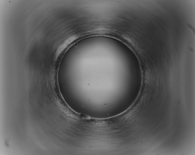 X0000100221410200806061333