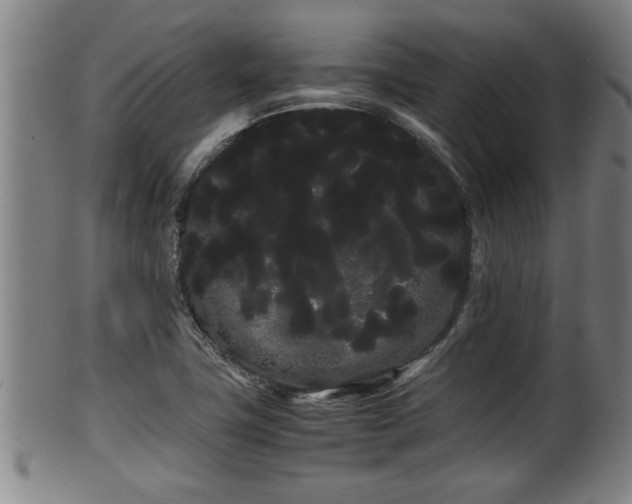 X0000100221411200806061333