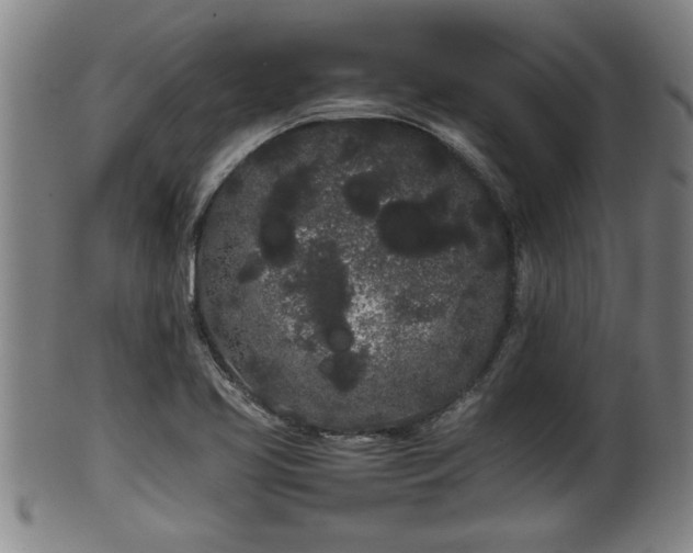 X0000100221413200806061333