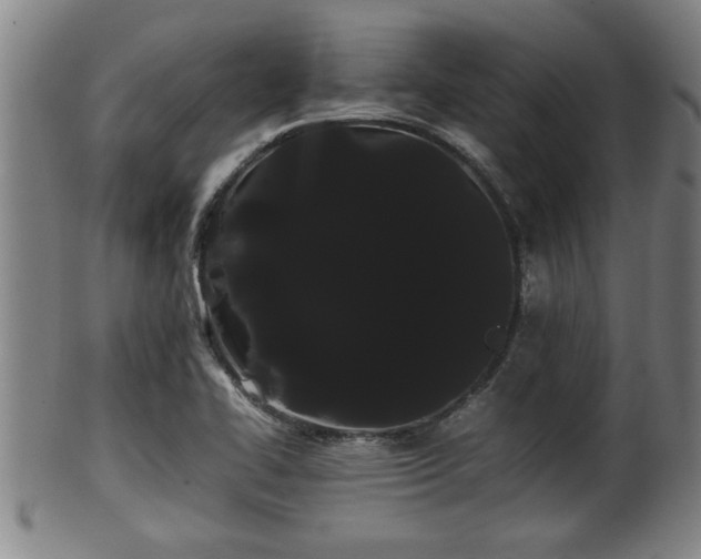 X0000100221414200806061333