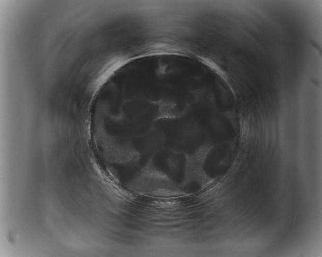 X0000100221415200806061333