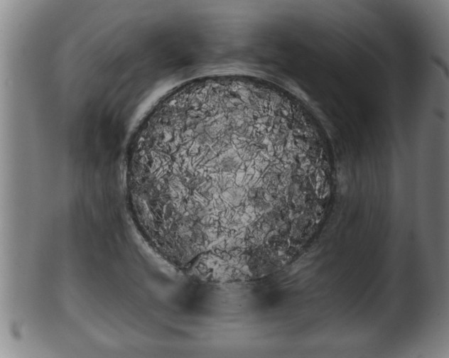 X0000100221416200806061333
