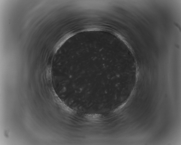 X0000100221417200806061333