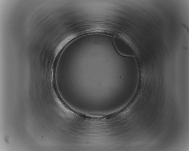 X0000100221418200806061333