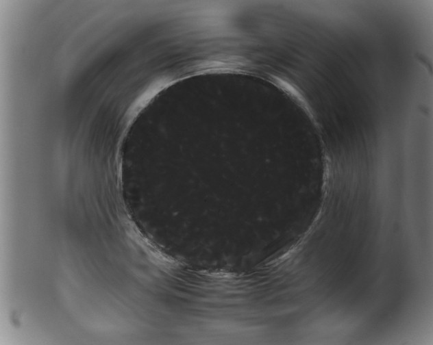 X0000100221419200806061333