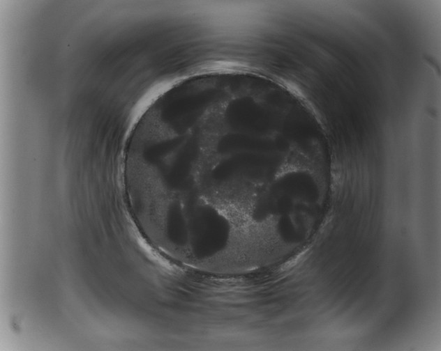 X0000100221421200806061334