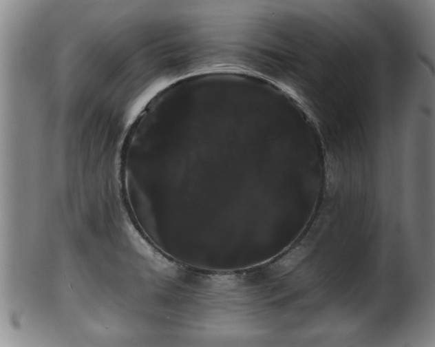 X0000100221422200806061334