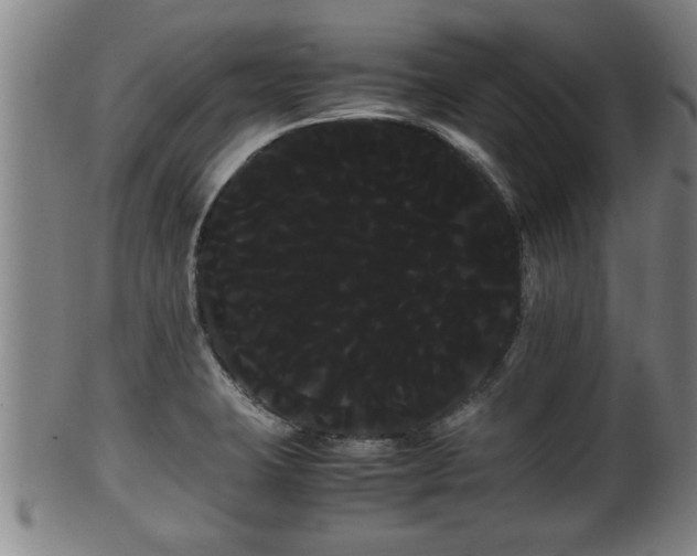 X0000100221423200806061334